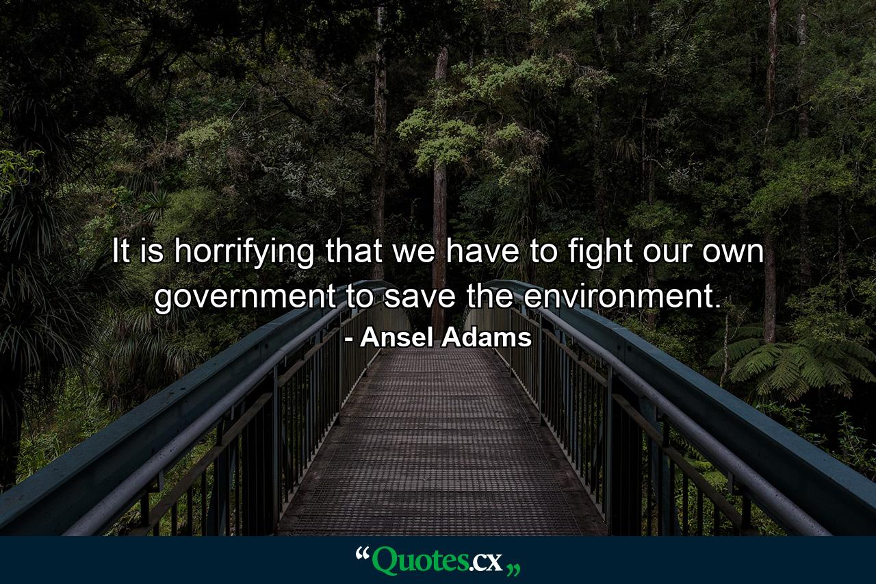 It is horrifying that we have to fight our own government to save the environment. - Quote by Ansel Adams