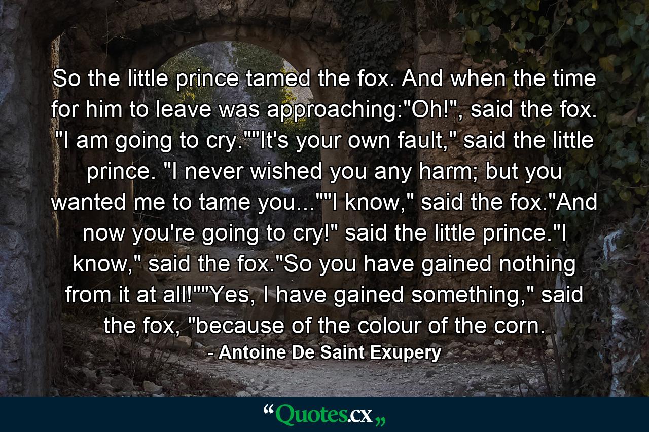 So the little prince tamed the fox. And when the time for him to leave was approaching: