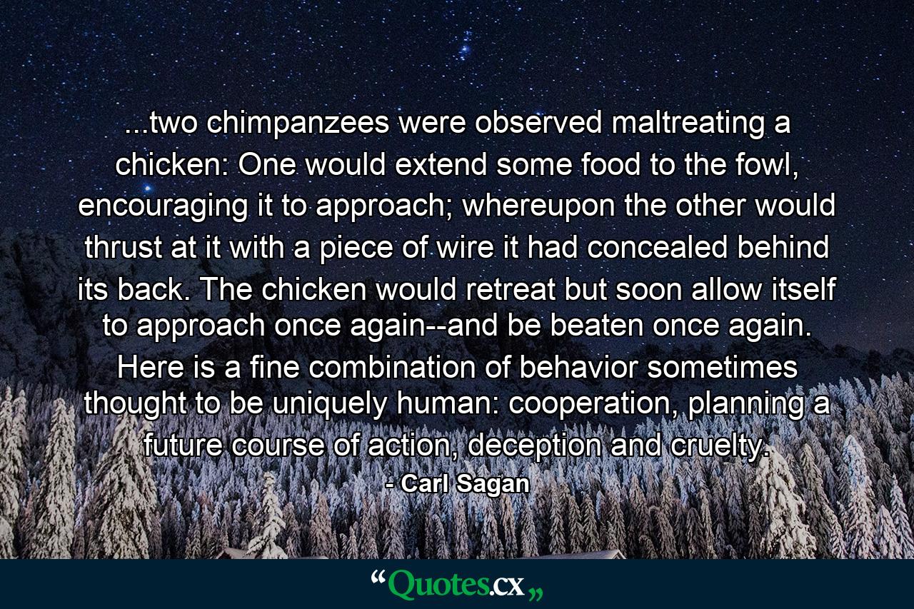 ...two chimpanzees were observed maltreating a chicken: One would extend some food to the fowl, encouraging it to approach; whereupon the other would thrust at it with a piece of wire it had concealed behind its back. The chicken would retreat but soon allow itself to approach once again--and be beaten once again. Here is a fine combination of behavior sometimes thought to be uniquely human: cooperation, planning a future course of action, deception and cruelty. - Quote by Carl Sagan