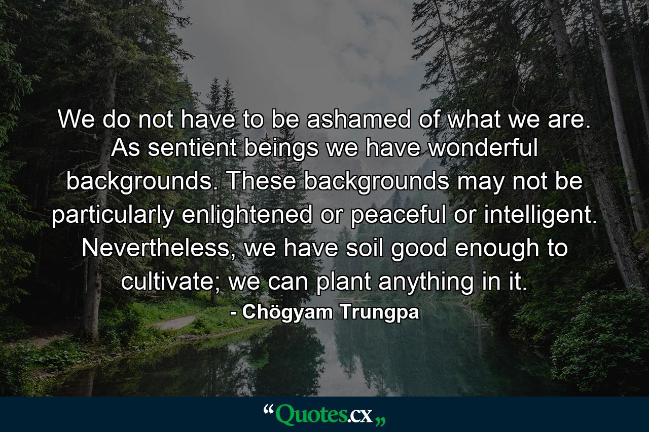 We do not have to be ashamed of what we are. As sentient beings we have wonderful backgrounds. These backgrounds may not be particularly enlightened or peaceful or intelligent. Nevertheless, we have soil good enough to cultivate; we can plant anything in it. - Quote by Chögyam Trungpa