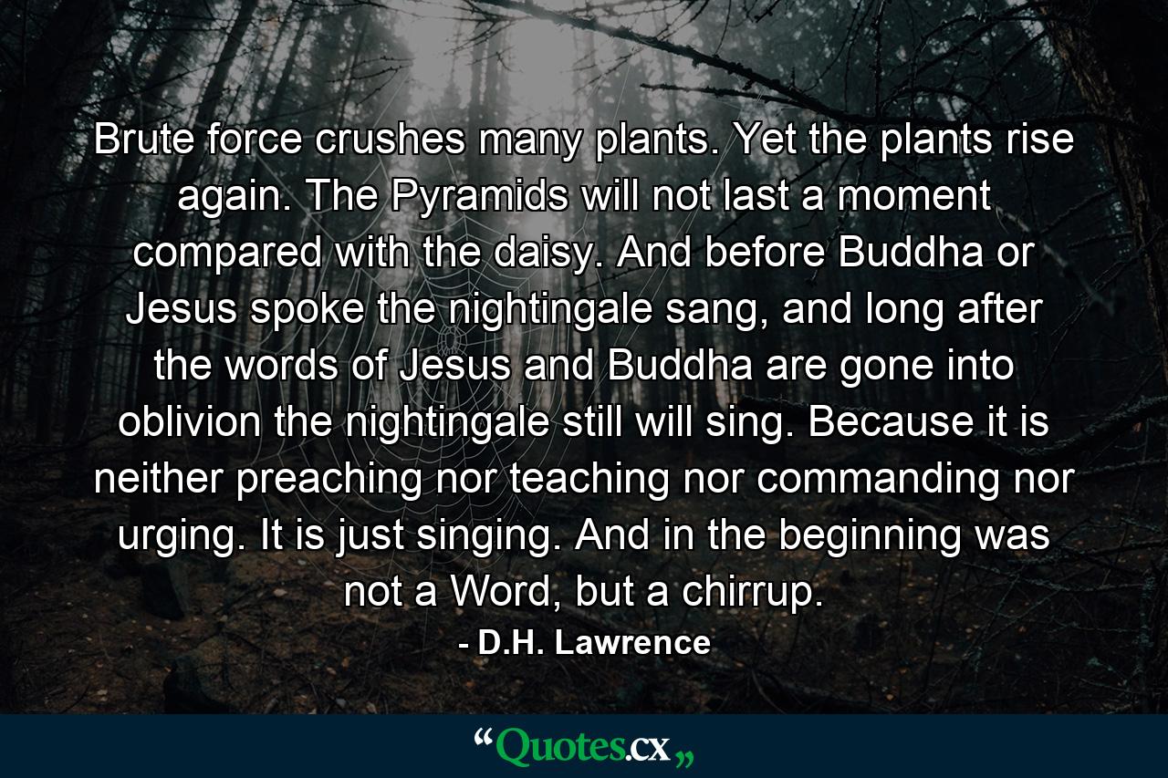 Brute force crushes many plants. Yet the plants rise again. The Pyramids will not last a moment compared with the daisy. And before Buddha or Jesus spoke the nightingale sang, and long after the words of Jesus and Buddha are gone into oblivion the nightingale still will sing. Because it is neither preaching nor teaching nor commanding nor urging. It is just singing. And in the beginning was not a Word, but a chirrup. - Quote by D.H. Lawrence