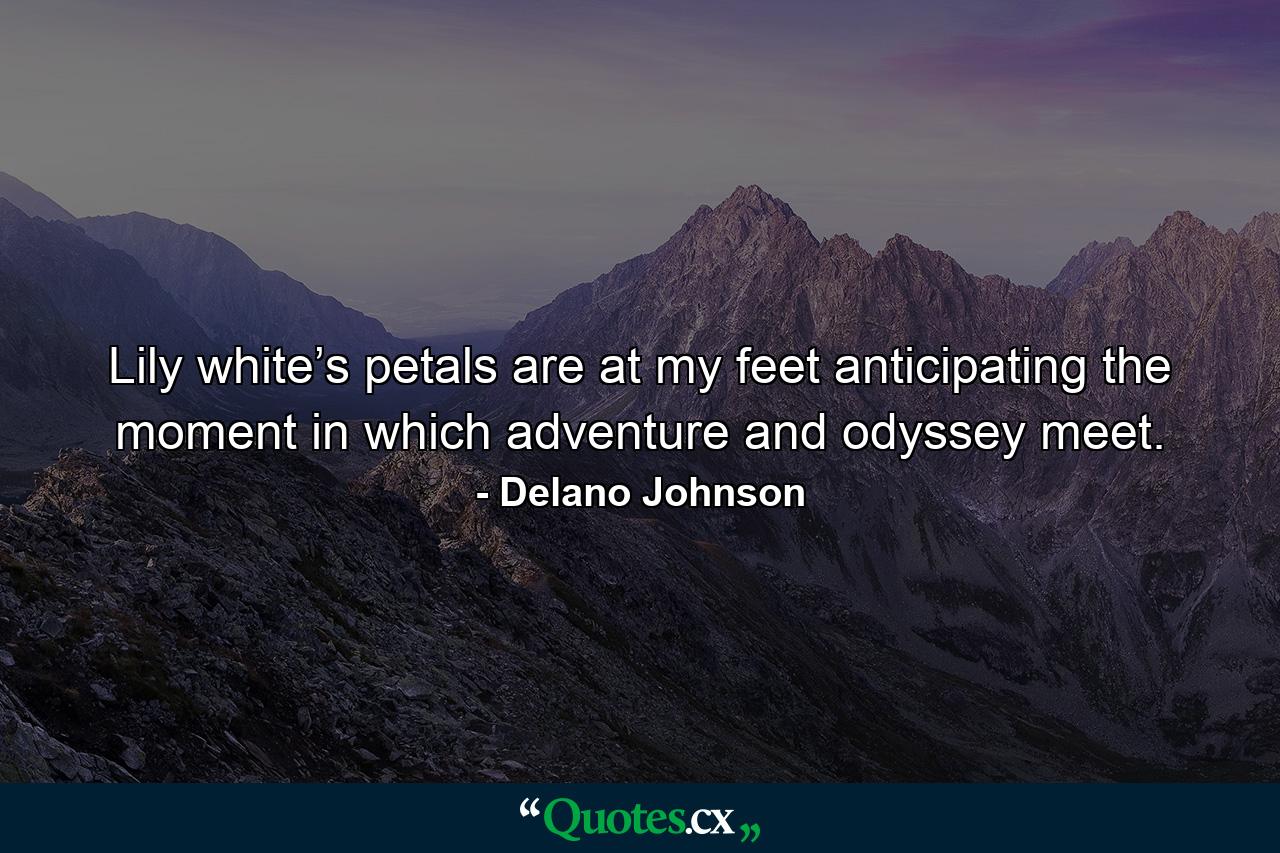 Lily white’s petals are at my feet anticipating the moment in which adventure and odyssey meet. - Quote by Delano Johnson