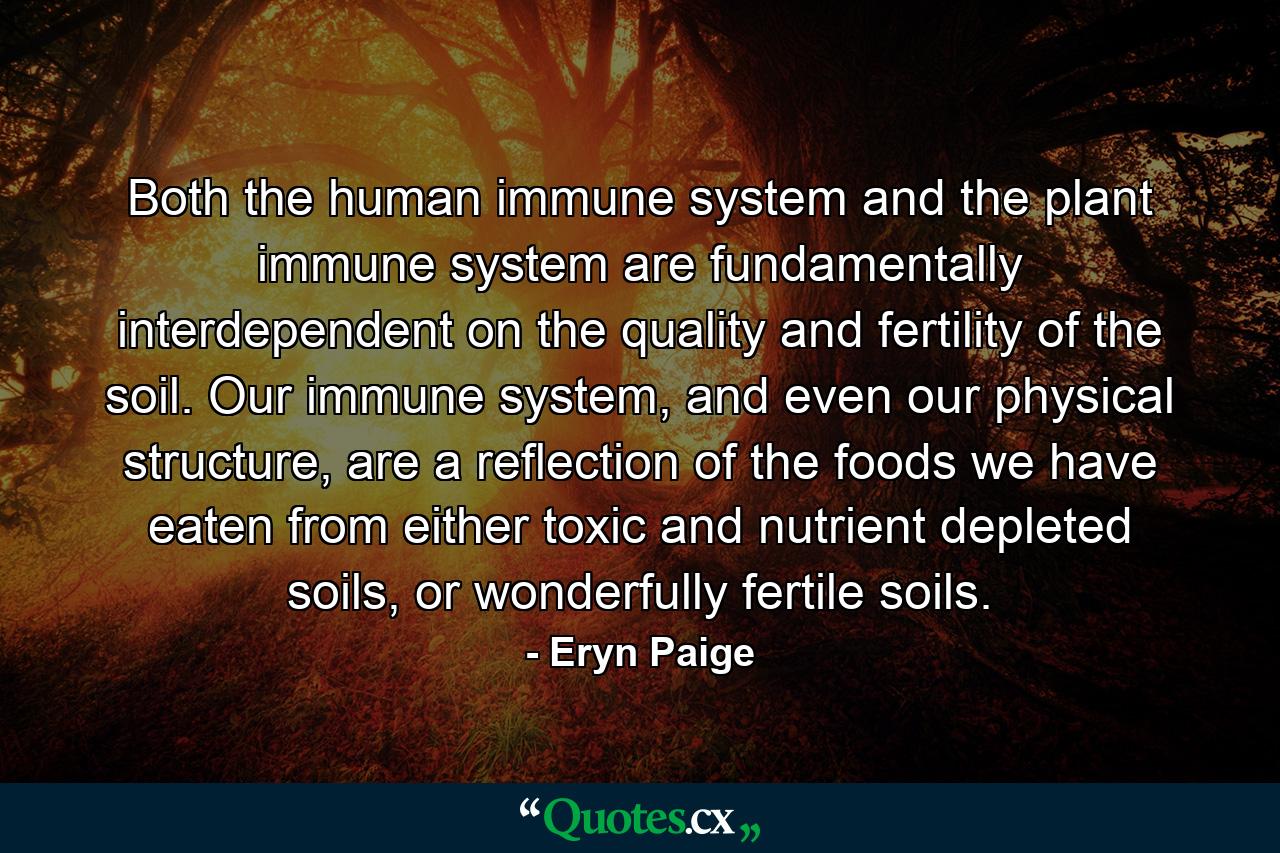 Both the human immune system and the plant immune system are fundamentally interdependent on the quality and fertility of the soil. Our immune system, and even our physical structure, are a reflection of the foods we have eaten from either toxic and nutrient depleted soils, or wonderfully fertile soils. - Quote by Eryn Paige