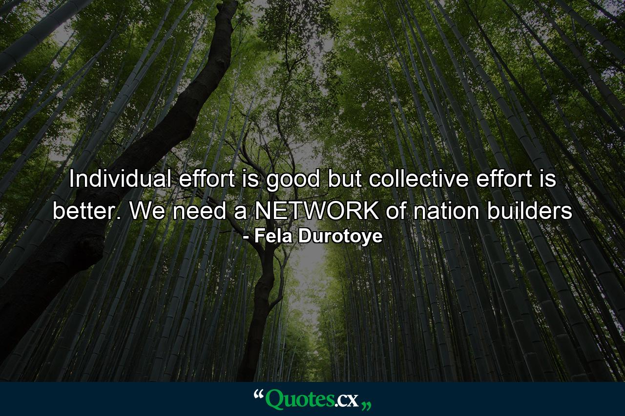 Individual effort is good but collective effort is better. We need a NETWORK of nation builders - Quote by Fela Durotoye