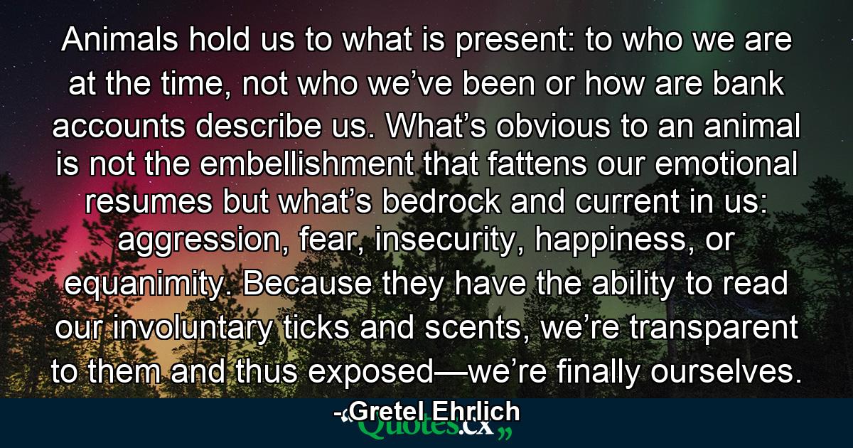 Animals hold us to what is present: to who we are at the time, not who we’ve been or how are bank accounts describe us. What’s obvious to an animal is not the embellishment that fattens our emotional resumes but what’s bedrock and current in us: aggression, fear, insecurity, happiness, or equanimity. Because they have the ability to read our involuntary ticks and scents, we’re transparent to them and thus exposed—we’re finally ourselves. - Quote by Gretel Ehrlich