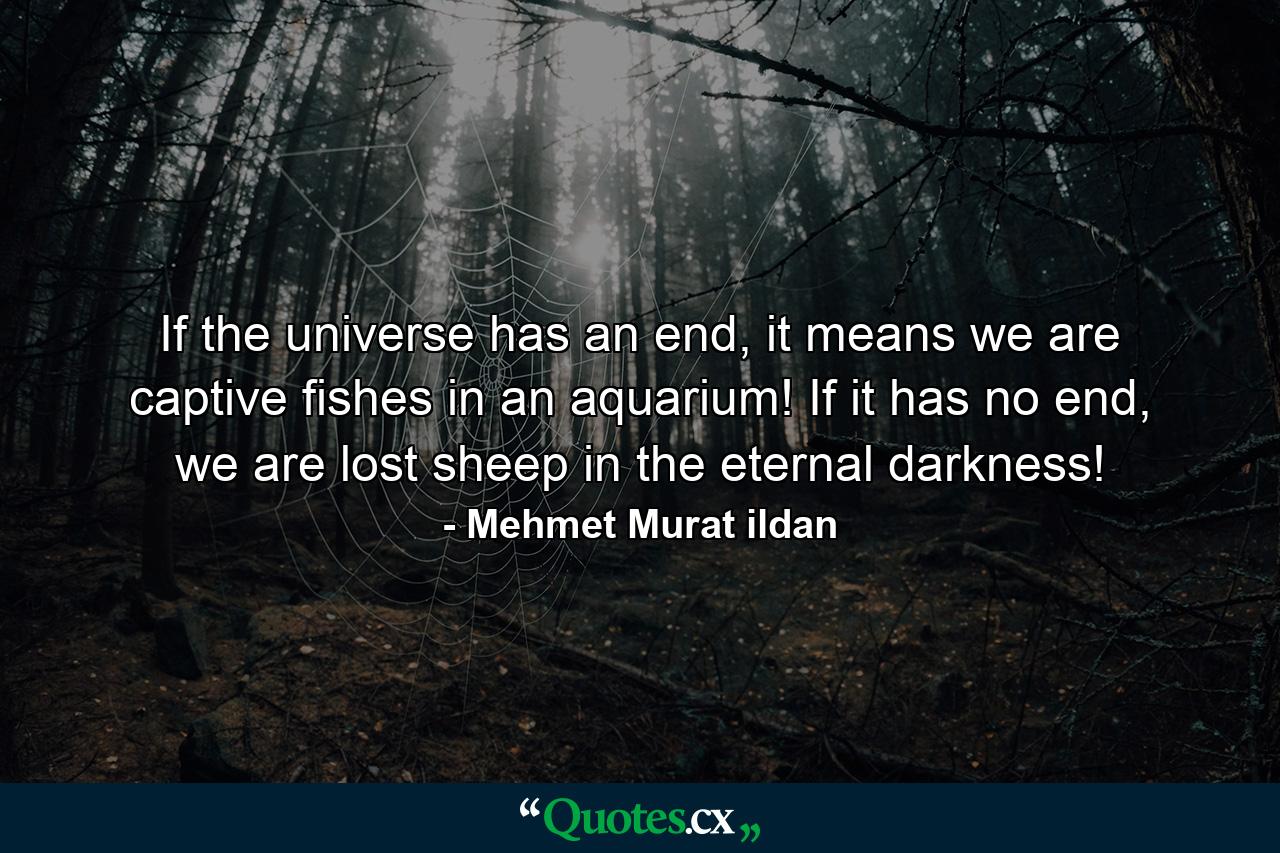 If the universe has an end, it means we are captive fishes in an aquarium! If it has no end, we are lost sheep in the eternal darkness! - Quote by Mehmet Murat ildan