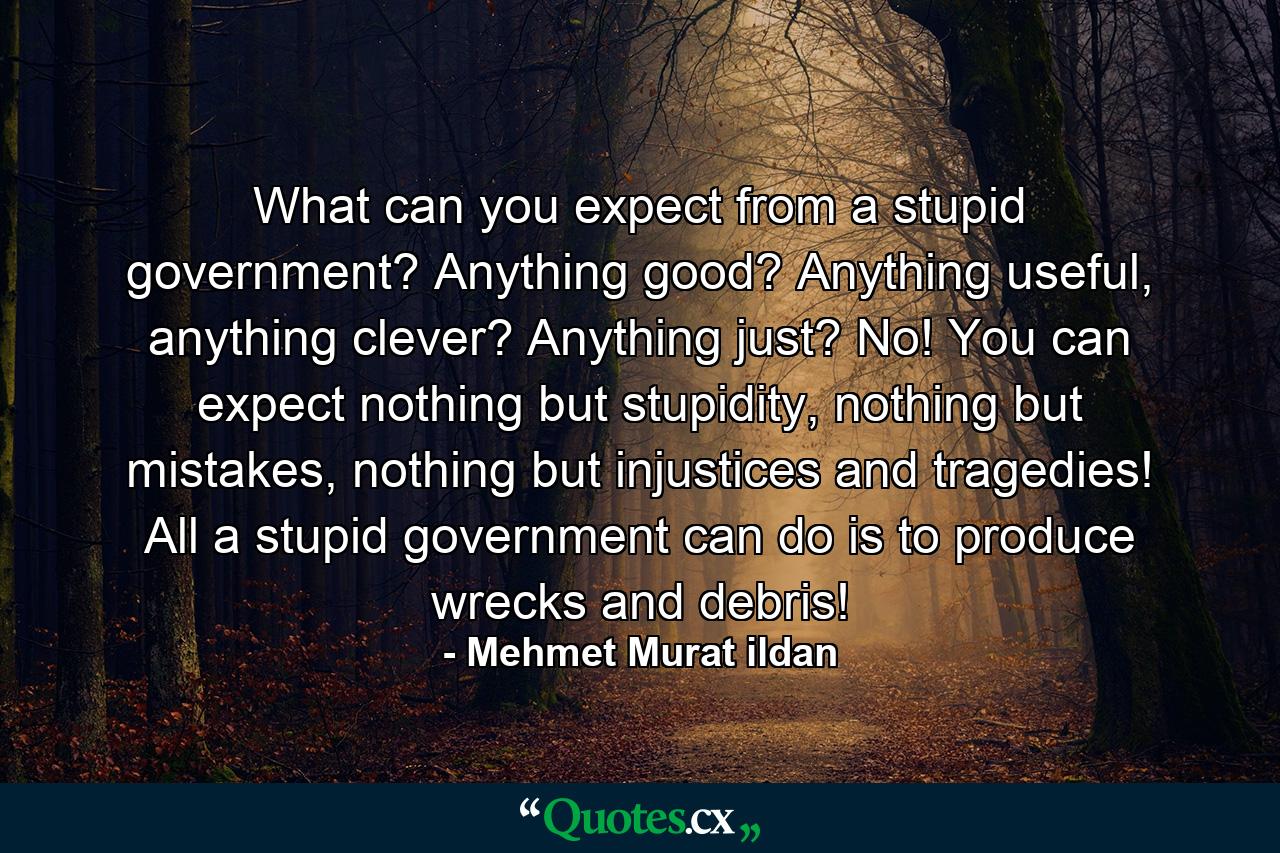 What can you expect from a stupid government? Anything good? Anything useful, anything clever? Anything just? No! You can expect nothing but stupidity, nothing but mistakes, nothing but injustices and tragedies! All a stupid government can do is to produce wrecks and debris! - Quote by Mehmet Murat ildan