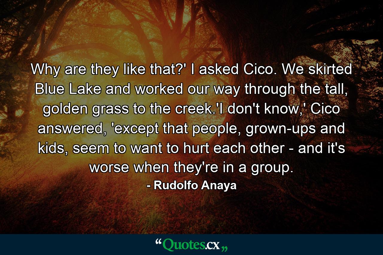 Why are they like that?' I asked Cico. We skirted Blue Lake and worked our way through the tall, golden grass to the creek.'I don't know,' Cico answered, 'except that people, grown-ups and kids, seem to want to hurt each other - and it's worse when they're in a group. - Quote by Rudolfo Anaya