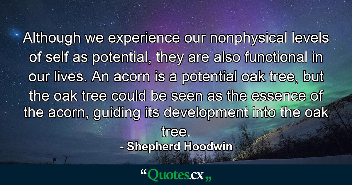 Although we experience our nonphysical levels of self as potential, they are also functional in our lives. An acorn is a potential oak tree, but the oak tree could be seen as the essence of the acorn, guiding its development into the oak tree. - Quote by Shepherd Hoodwin