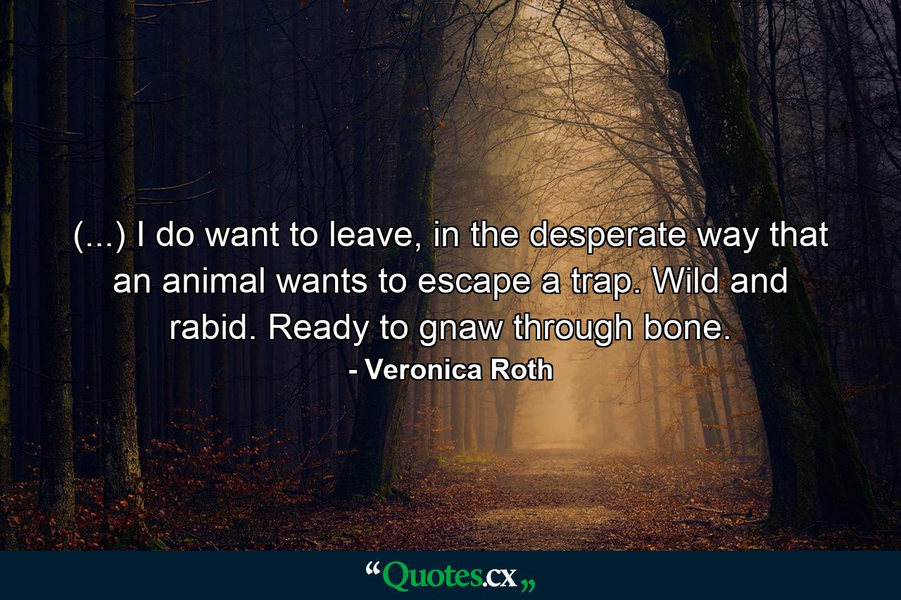 (...) I do want to leave, in the desperate way that an animal wants to escape a trap. Wild and rabid. Ready to gnaw through bone. - Quote by Veronica Roth