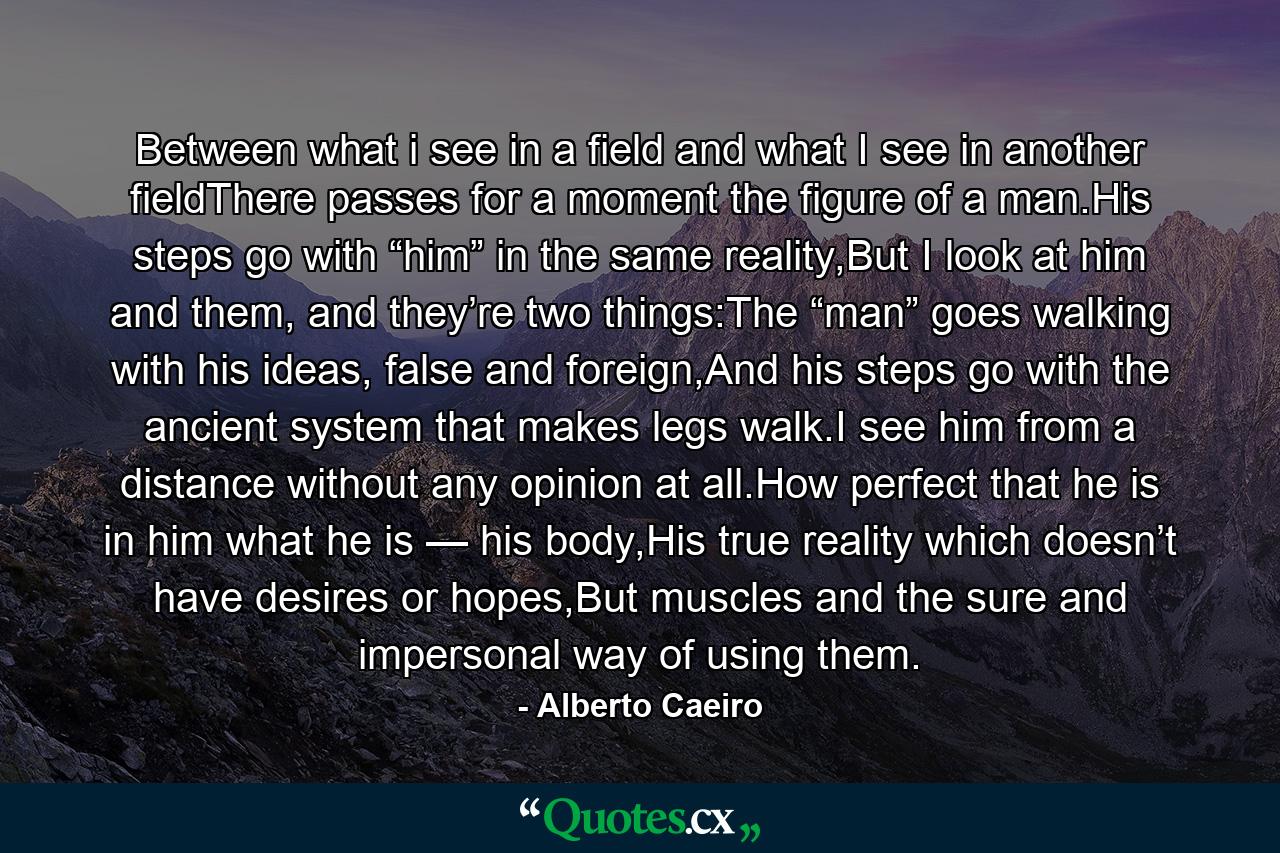 Between what i see in a field and what I see in another fieldThere passes for a moment the figure of a man.His steps go with “him” in the same reality,But I look at him and them, and they’re two things:The “man” goes walking with his ideas, false and foreign,And his steps go with the ancient system that makes legs walk.I see him from a distance without any opinion at all.How perfect that he is in him what he is — his body,His true reality which doesn’t have desires or hopes,But muscles and the sure and impersonal way of using them. - Quote by Alberto Caeiro