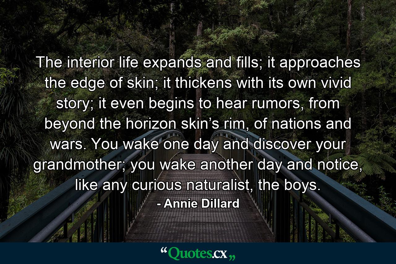 The interior life expands and fills; it approaches the edge of skin; it thickens with its own vivid story; it even begins to hear rumors, from beyond the horizon skin’s rim, of nations and wars. You wake one day and discover your grandmother; you wake another day and notice, like any curious naturalist, the boys. - Quote by Annie Dillard