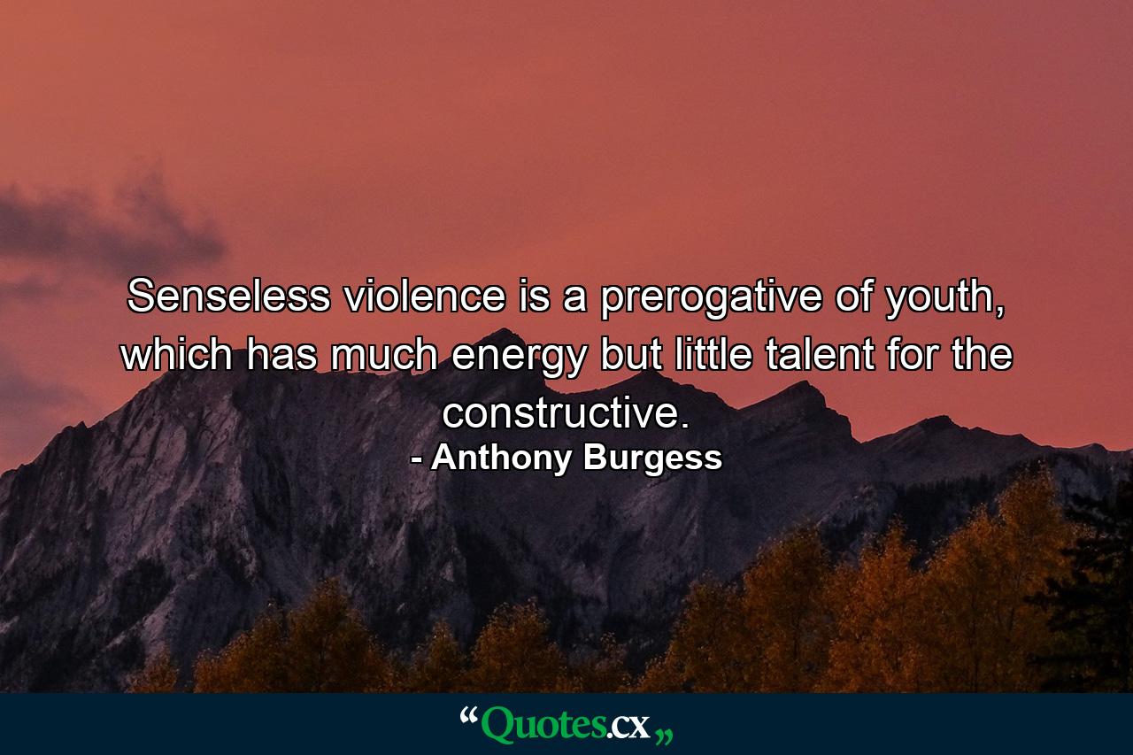 Senseless violence is a prerogative of youth, which has much energy but little talent for the constructive. - Quote by Anthony Burgess