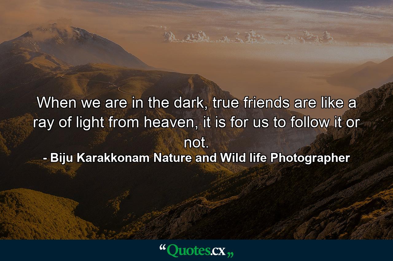 When we are in the dark, true friends are like a ray of light from heaven, it is for us to follow it or not. - Quote by Biju Karakkonam Nature and Wild life Photographer