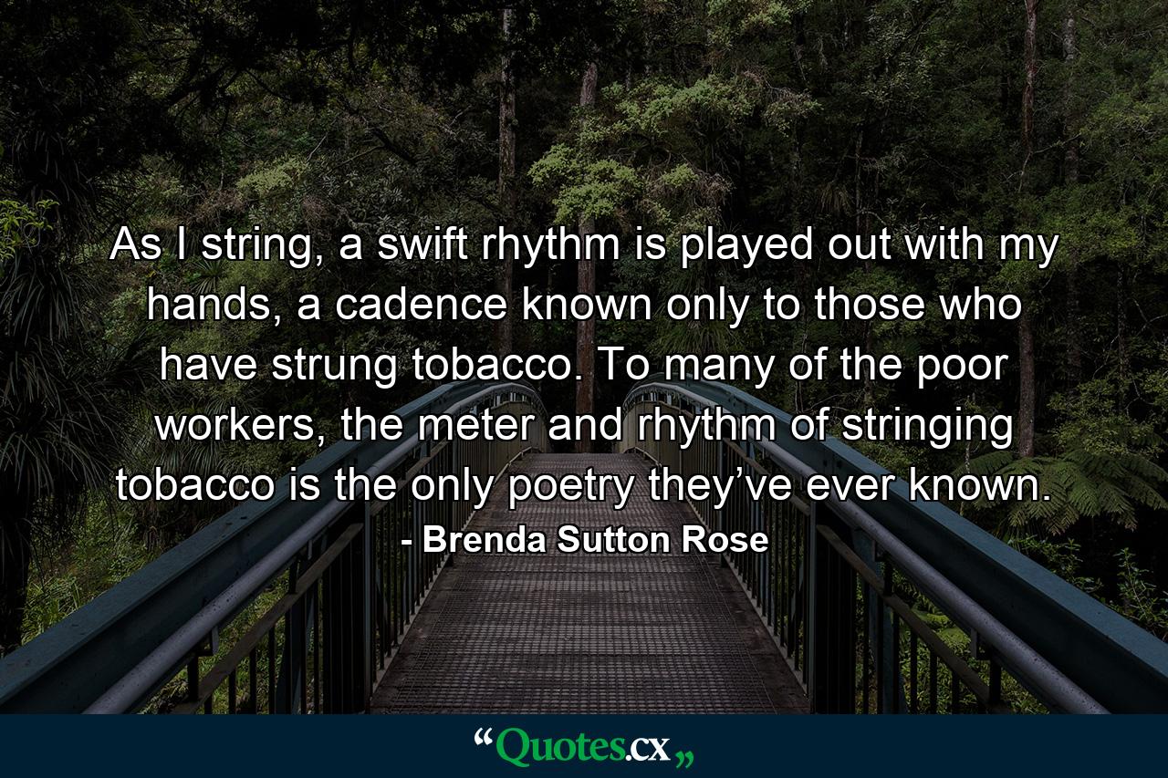 As I string, a swift rhythm is played out with my hands, a cadence known only to those who have strung tobacco. To many of the poor workers, the meter and rhythm of stringing tobacco is the only poetry they’ve ever known. - Quote by Brenda Sutton Rose