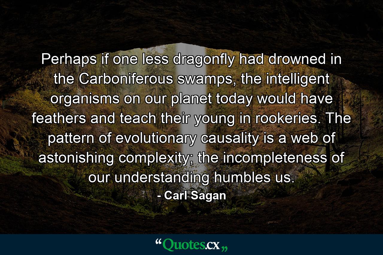 Perhaps if one less dragonfly had drowned in the Carboniferous swamps, the intelligent organisms on our planet today would have feathers and teach their young in rookeries. The pattern of evolutionary causality is a web of astonishing complexity; the incompleteness of our understanding humbles us. - Quote by Carl Sagan