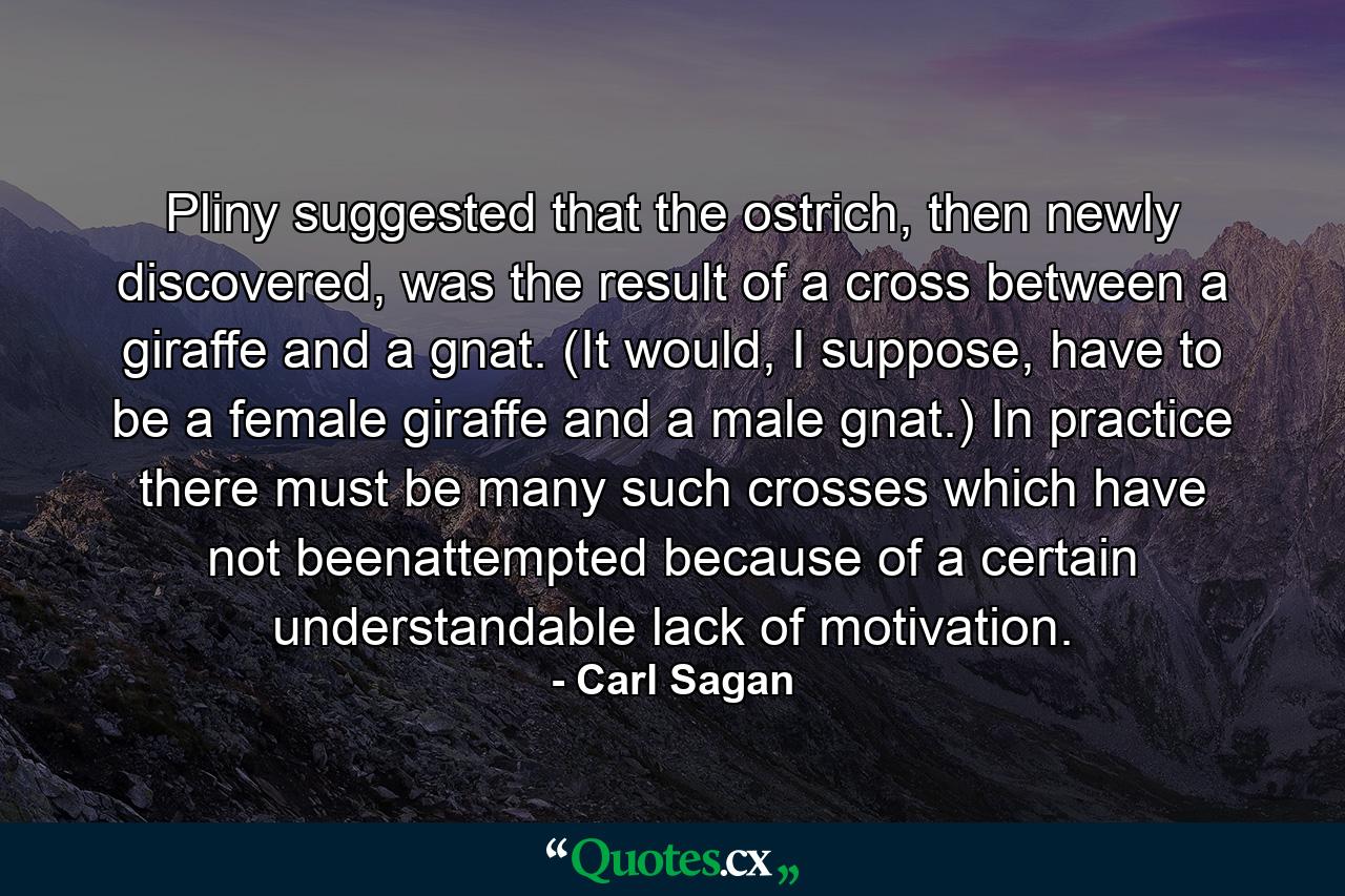 Pliny suggested that the ostrich, then newly discovered, was the result of a cross between a giraffe and a gnat. (It would, I suppose, have to be a female giraffe and a male gnat.) In practice there must be many such crosses which have not beenattempted because of a certain understandable lack of motivation. - Quote by Carl Sagan