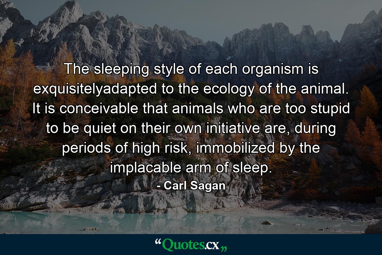 The sleeping style of each organism is exquisitelyadapted to the ecology of the animal. It is conceivable that animals who are too stupid to be quiet on their own initiative are, during periods of high risk, immobilized by the implacable arm of sleep. - Quote by Carl Sagan