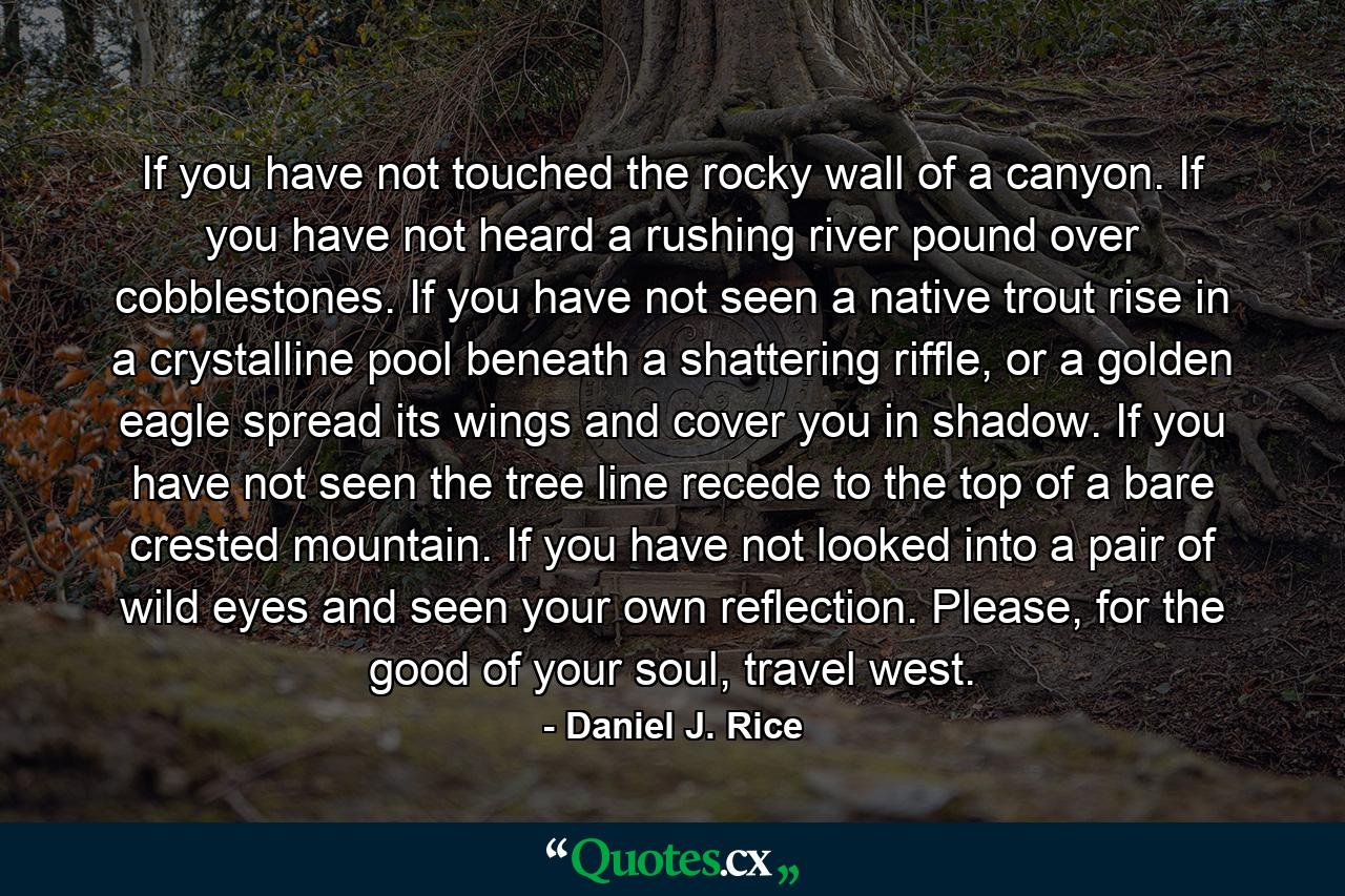 If you have not touched the rocky wall of a canyon. If you have not heard a rushing river pound over cobblestones. If you have not seen a native trout rise in a crystalline pool beneath a shattering riffle, or a golden eagle spread its wings and cover you in shadow. If you have not seen the tree line recede to the top of a bare crested mountain. If you have not looked into a pair of wild eyes and seen your own reflection. Please, for the good of your soul, travel west. - Quote by Daniel J. Rice