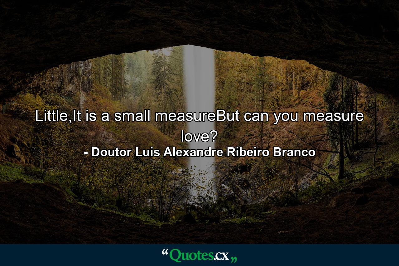 Little,It is a small measureBut can you measure love? - Quote by Doutor Luis Alexandre Ribeiro Branco