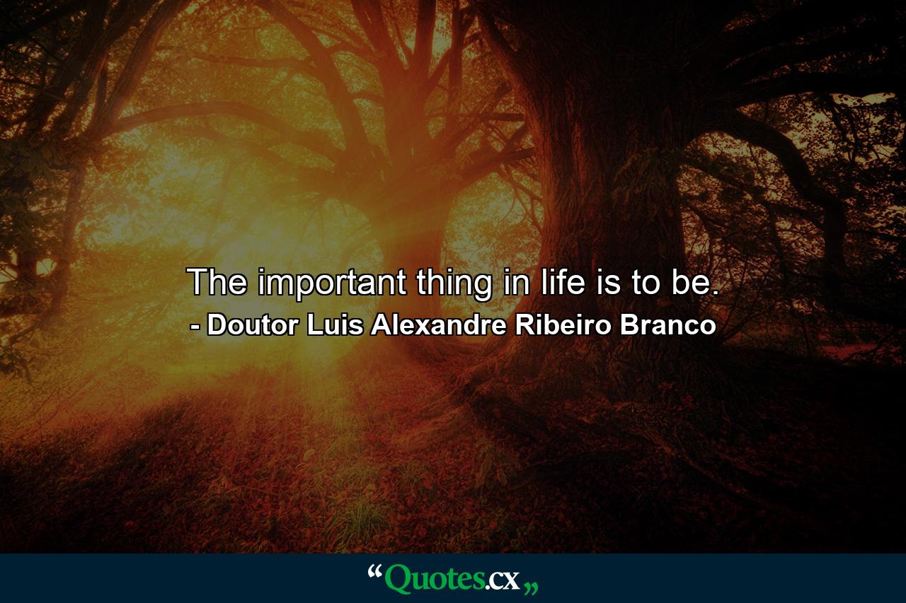 The important thing in life is to be. - Quote by Doutor Luis Alexandre Ribeiro Branco