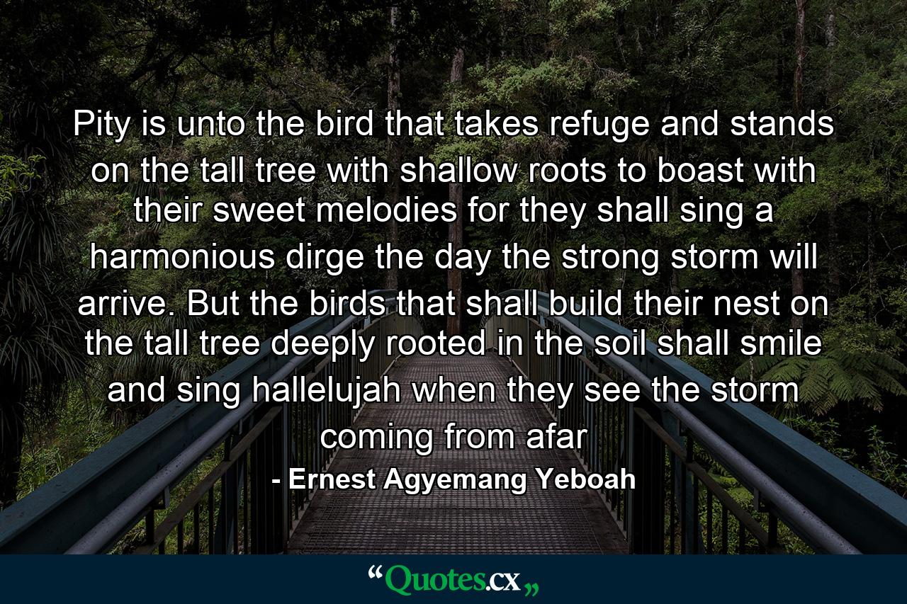 Pity is unto the bird that takes refuge and stands on the tall tree with shallow roots to boast with their sweet melodies for they shall sing a harmonious dirge the day the strong storm will arrive. But the birds that shall build their nest on the tall tree deeply rooted in the soil shall smile and sing hallelujah when they see the storm coming from afar - Quote by Ernest Agyemang Yeboah