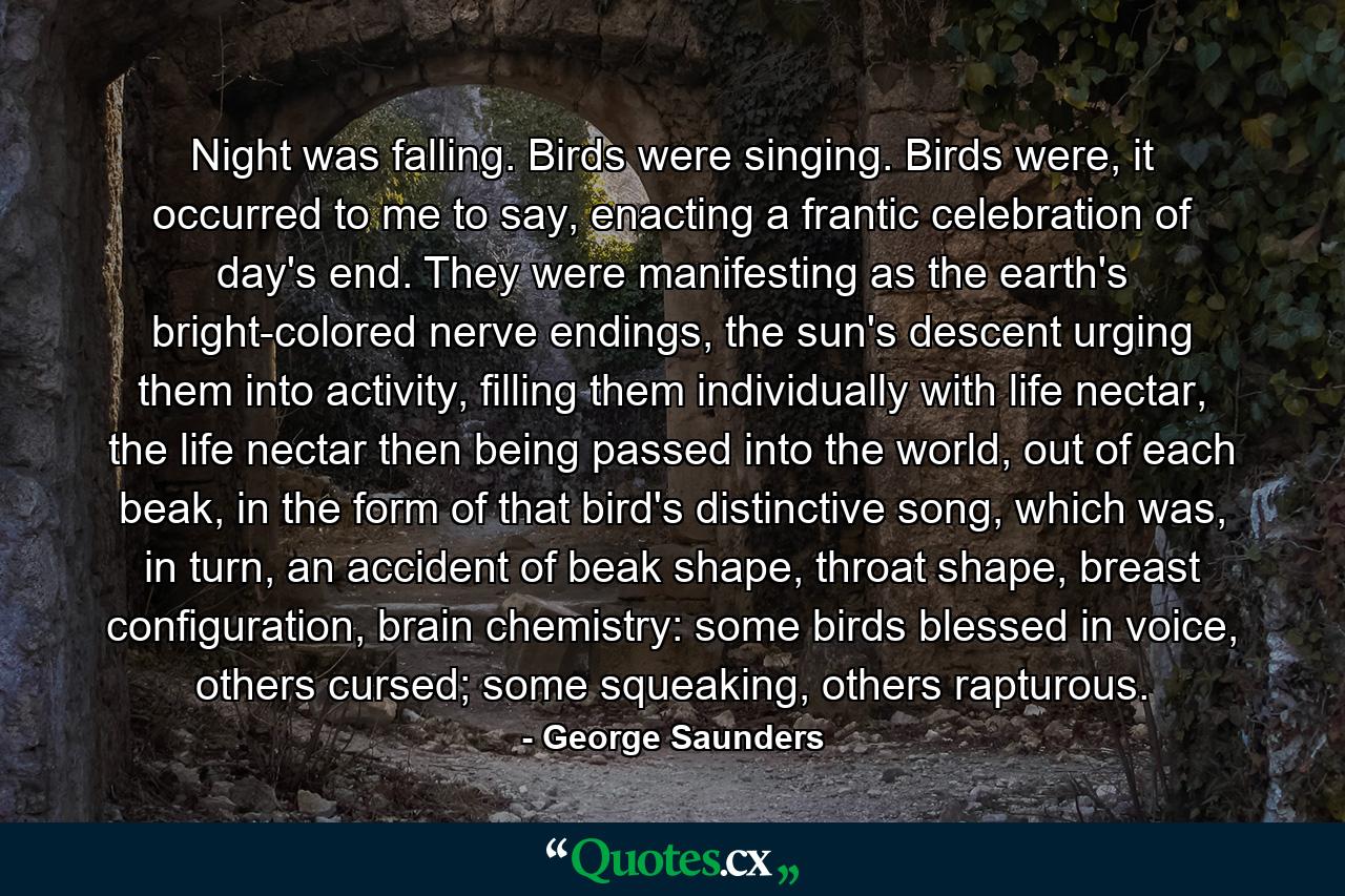 Night was falling. Birds were singing. Birds were, it occurred to me to say, enacting a frantic celebration of day's end. They were manifesting as the earth's bright-colored nerve endings, the sun's descent urging them into activity, filling them individually with life nectar, the life nectar then being passed into the world, out of each beak, in the form of that bird's distinctive song, which was, in turn, an accident of beak shape, throat shape, breast configuration, brain chemistry: some birds blessed in voice, others cursed; some squeaking, others rapturous. - Quote by George Saunders