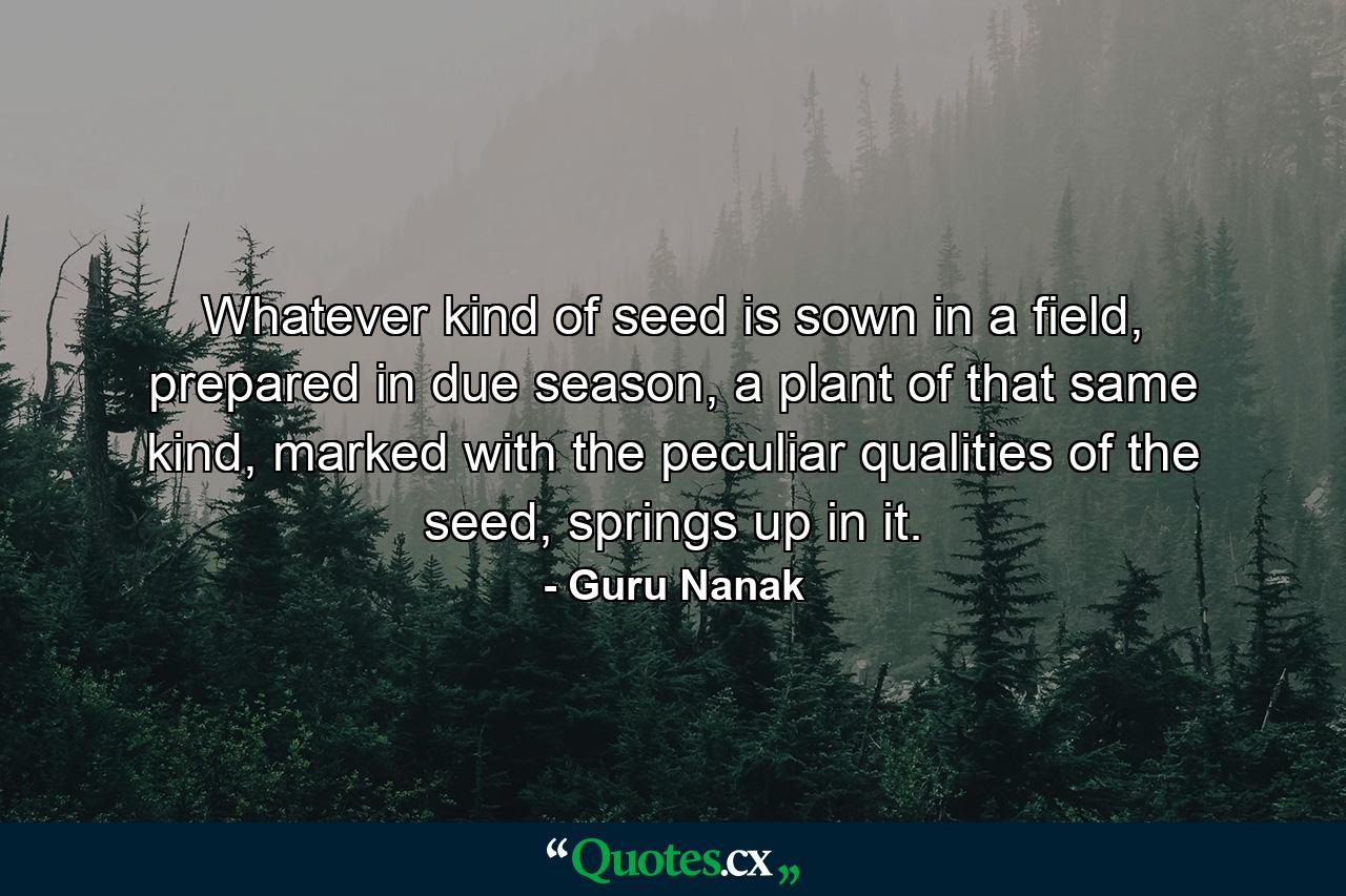 Whatever kind of seed is sown in a field, prepared in due season, a plant of that same kind, marked with the peculiar qualities of the seed, springs up in it. - Quote by Guru Nanak