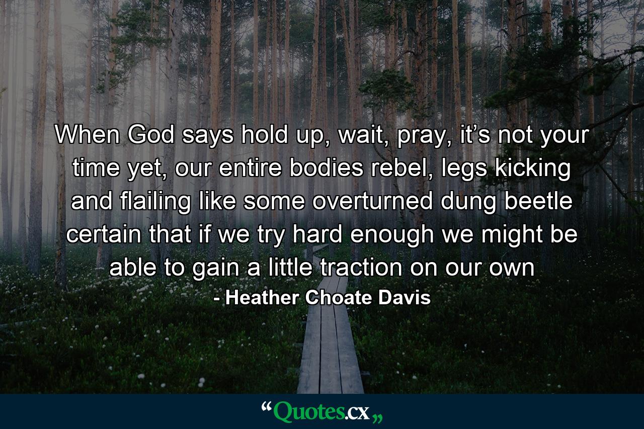 When God says hold up, wait, pray, it’s not your time yet, our entire bodies rebel, legs kicking and flailing like some overturned dung beetle certain that if we try hard enough we might be able to gain a little traction on our own - Quote by Heather Choate Davis