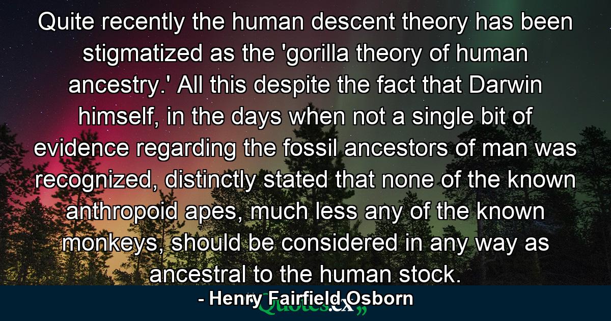 Quite recently the human descent theory has been stigmatized as the 'gorilla theory of human ancestry.' All this despite the fact that Darwin himself, in the days when not a single bit of evidence regarding the fossil ancestors of man was recognized, distinctly stated that none of the known anthropoid apes, much less any of the known monkeys, should be considered in any way as ancestral to the human stock. - Quote by Henry Fairfield Osborn