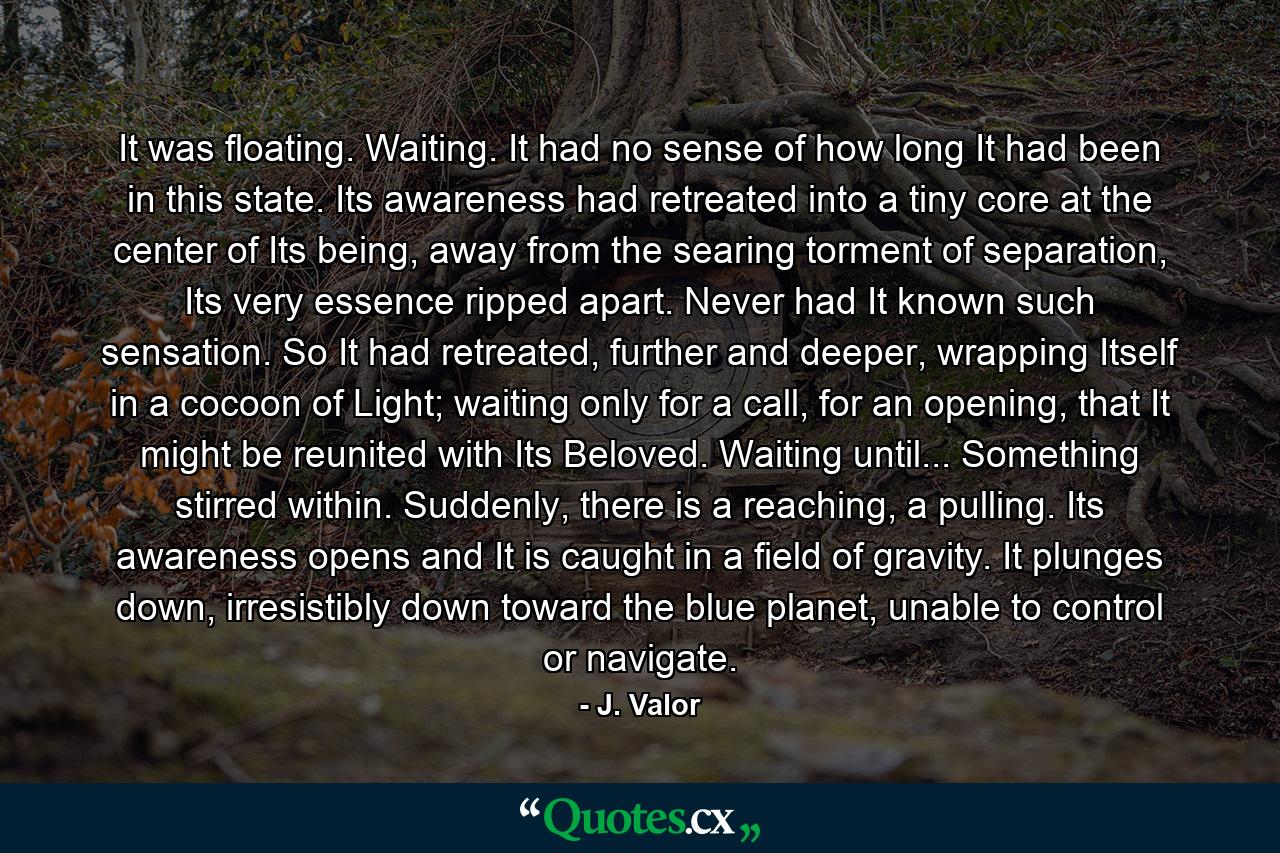 It was floating. Waiting. It had no sense of how long It had been in this state. Its awareness had retreated into a tiny core at the center of Its being, away from the searing torment of separation, Its very essence ripped apart. Never had It known such sensation. So It had retreated, further and deeper, wrapping Itself in a cocoon of Light; waiting only for a call, for an opening, that It might be reunited with Its Beloved. Waiting until... Something stirred within. Suddenly, there is a reaching, a pulling. Its awareness opens and It is caught in a field of gravity. It plunges down, irresistibly down toward the blue planet, unable to control or navigate. - Quote by J. Valor