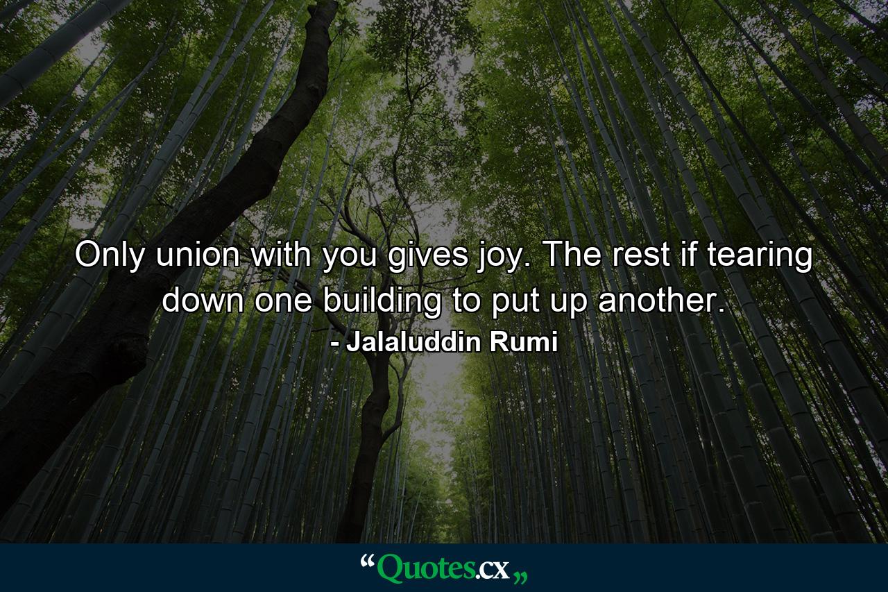 Only union with you gives joy. The rest if tearing down one building to put up another. - Quote by Jalaluddin Rumi