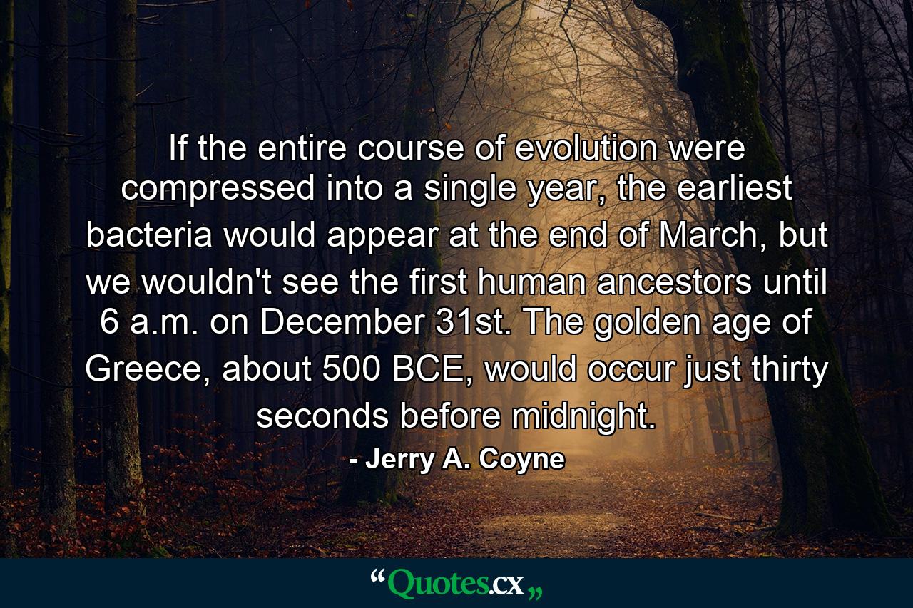 If the entire course of evolution were compressed into a single year, the earliest bacteria would appear at the end of March, but we wouldn't see the first human ancestors until 6 a.m. on December 31st. The golden age of Greece, about 500 BCE, would occur just thirty seconds before midnight. - Quote by Jerry A. Coyne