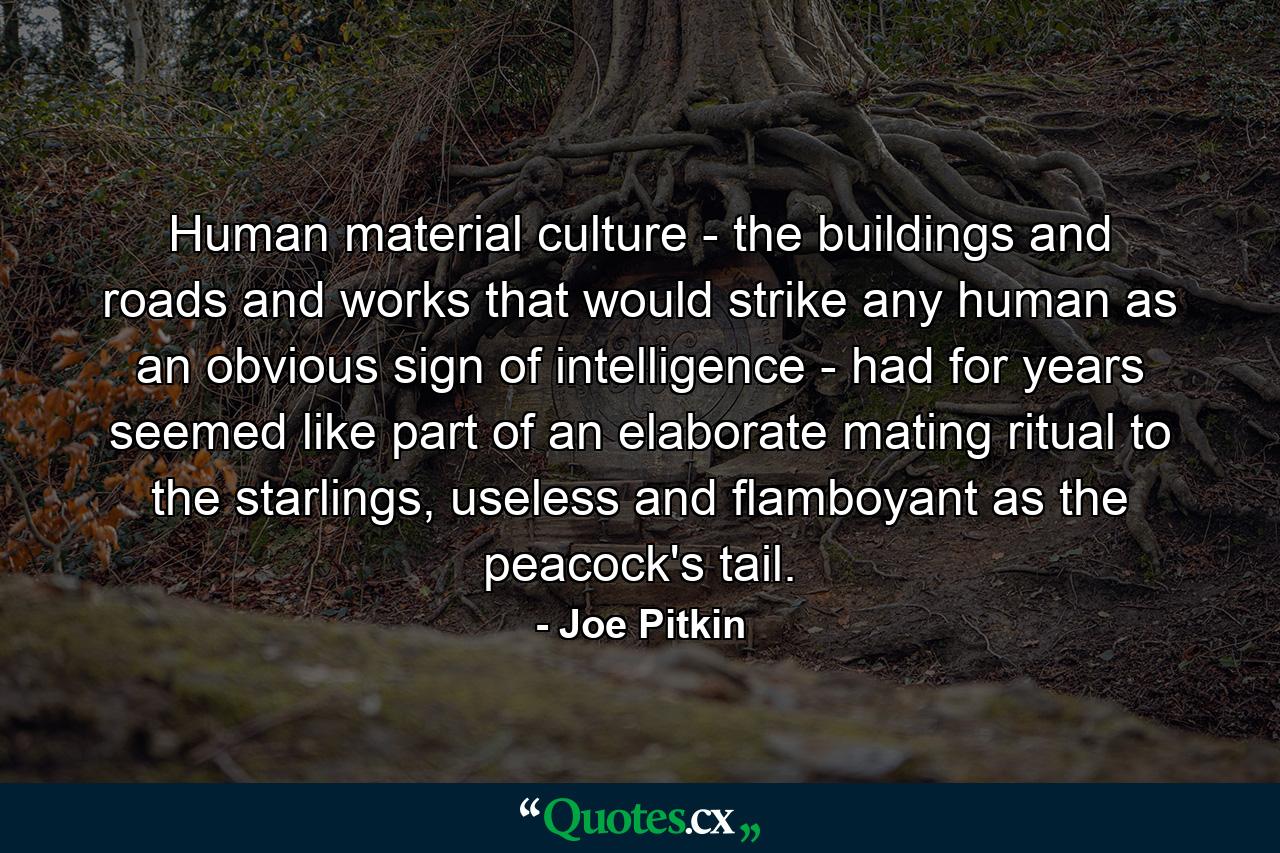 Human material culture - the buildings and roads and works that would strike any human as an obvious sign of intelligence - had for years seemed like part of an elaborate mating ritual to the starlings, useless and flamboyant as the peacock's tail. - Quote by Joe Pitkin