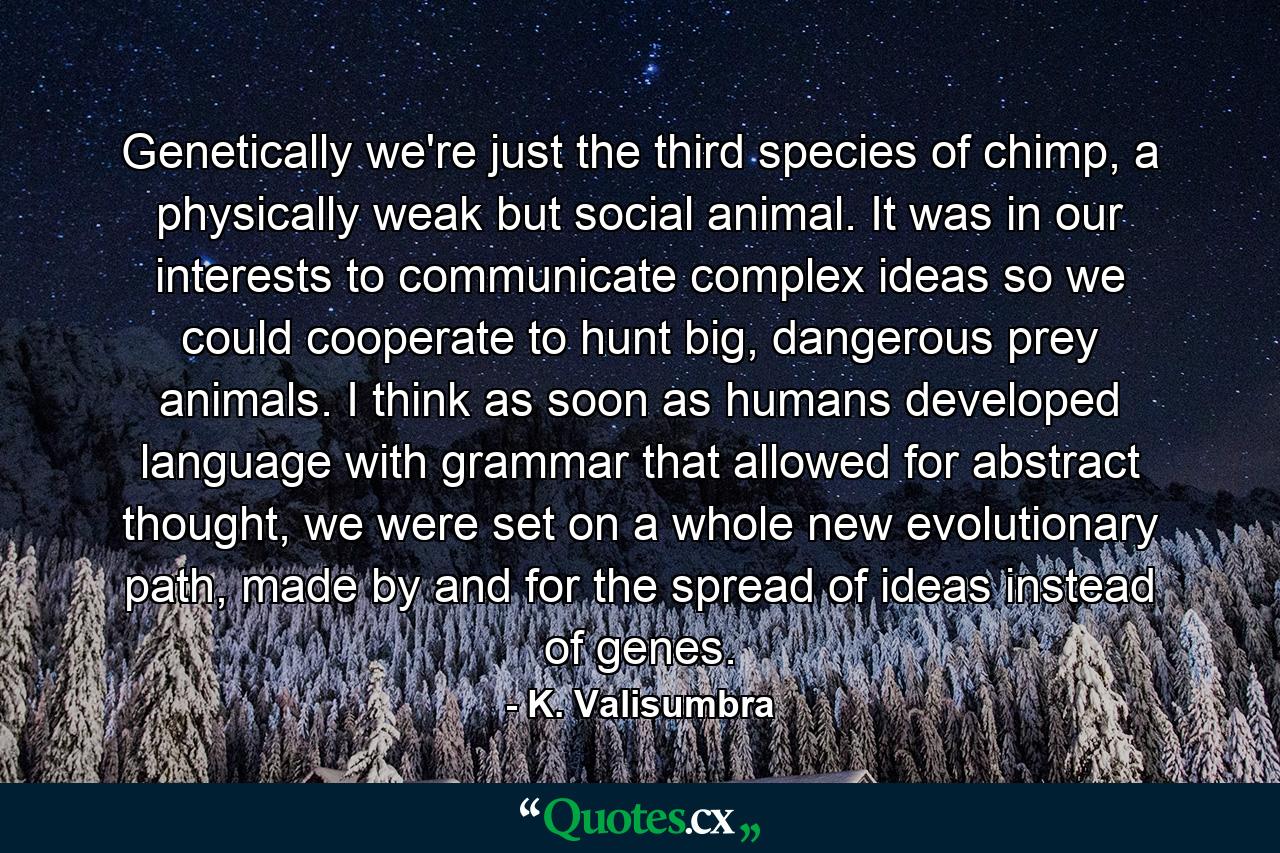 Genetically we're just the third species of chimp, a physically weak but social animal. It was in our interests to communicate complex ideas so we could cooperate to hunt big, dangerous prey animals. I think as soon as humans developed language with grammar that allowed for abstract thought, we were set on a whole new evolutionary path, made by and for the spread of ideas instead of genes. - Quote by K. Valisumbra