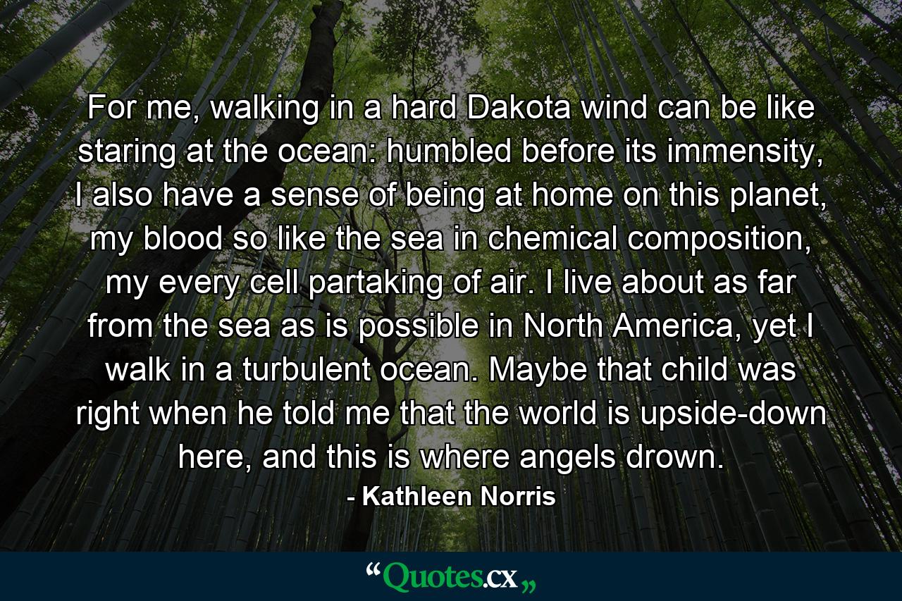 For me, walking in a hard Dakota wind can be like staring at the ocean: humbled before its immensity, I also have a sense of being at home on this planet, my blood so like the sea in chemical composition, my every cell partaking of air. I live about as far from the sea as is possible in North America, yet I walk in a turbulent ocean. Maybe that child was right when he told me that the world is upside-down here, and this is where angels drown. - Quote by Kathleen Norris