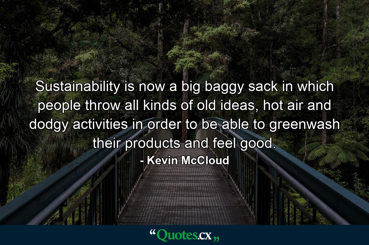 Sustainability is now a big baggy sack in which people throw all kinds of old ideas, hot air and dodgy activities in order to be able to greenwash their products and feel good. - Quote by Kevin McCloud