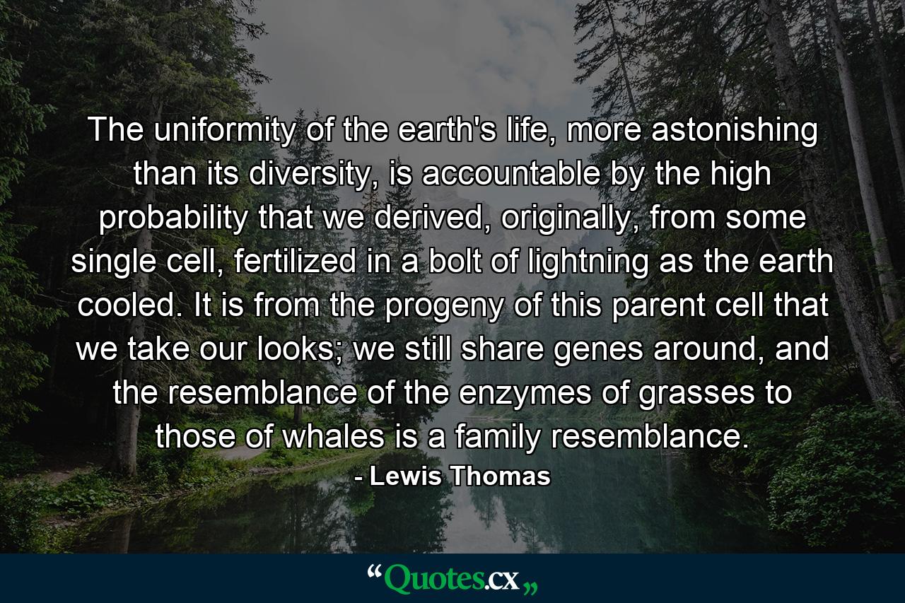 The uniformity of the earth's life, more astonishing than its diversity, is accountable by the high probability that we derived, originally, from some single cell, fertilized in a bolt of lightning as the earth cooled. It is from the progeny of this parent cell that we take our looks; we still share genes around, and the resemblance of the enzymes of grasses to those of whales is a family resemblance. - Quote by Lewis Thomas