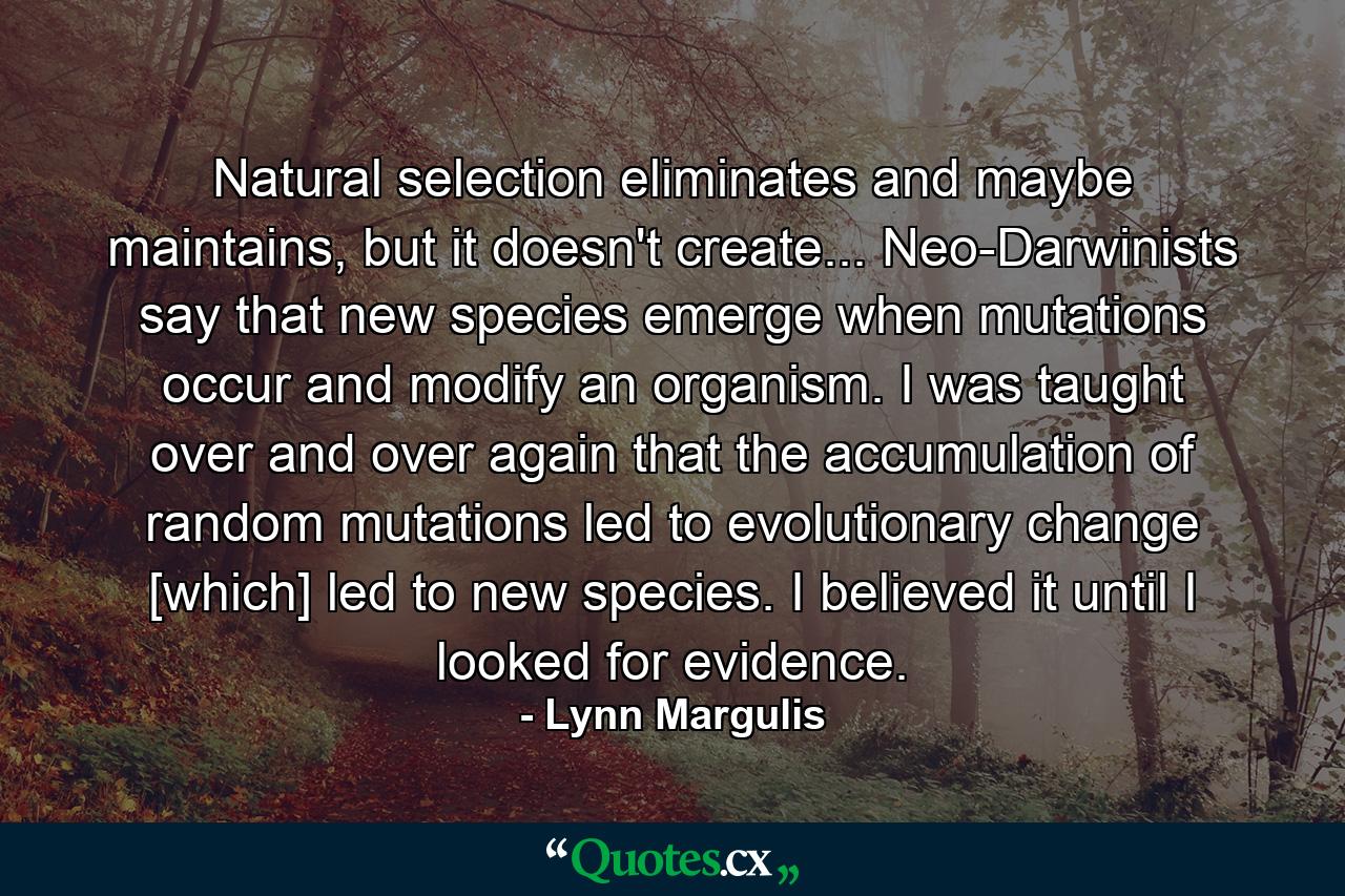 Natural selection eliminates and maybe maintains, but it doesn't create... Neo-Darwinists say that new species emerge when mutations occur and modify an organism. I was taught over and over again that the accumulation of random mutations led to evolutionary change [which] led to new species. I believed it until I looked for evidence. - Quote by Lynn Margulis