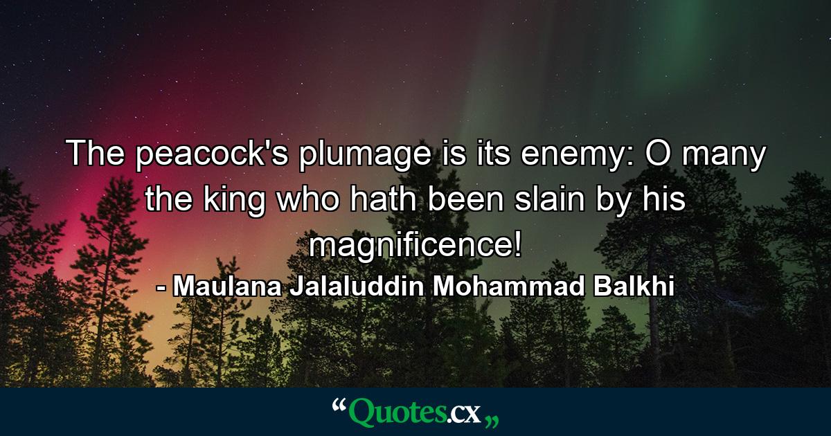 The peacock's plumage is its enemy: O many the king who hath been slain by his magnificence! - Quote by Maulana Jalaluddin Mohammad Balkhi