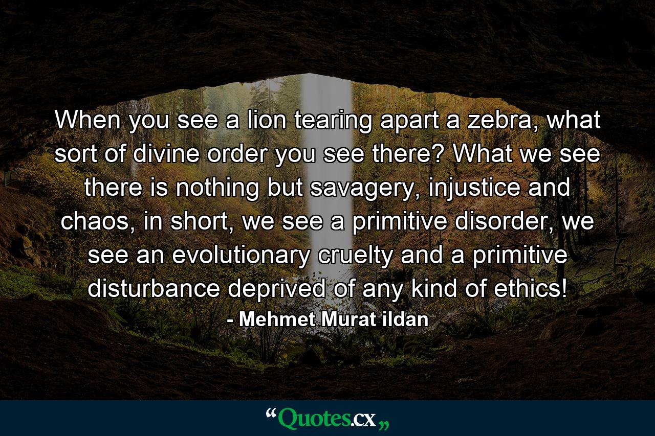 When you see a lion tearing apart a zebra, what sort of divine order you see there? What we see there is nothing but savagery, injustice and chaos, in short, we see a primitive disorder, we see an evolutionary cruelty and a primitive disturbance deprived of any kind of ethics! - Quote by Mehmet Murat ildan