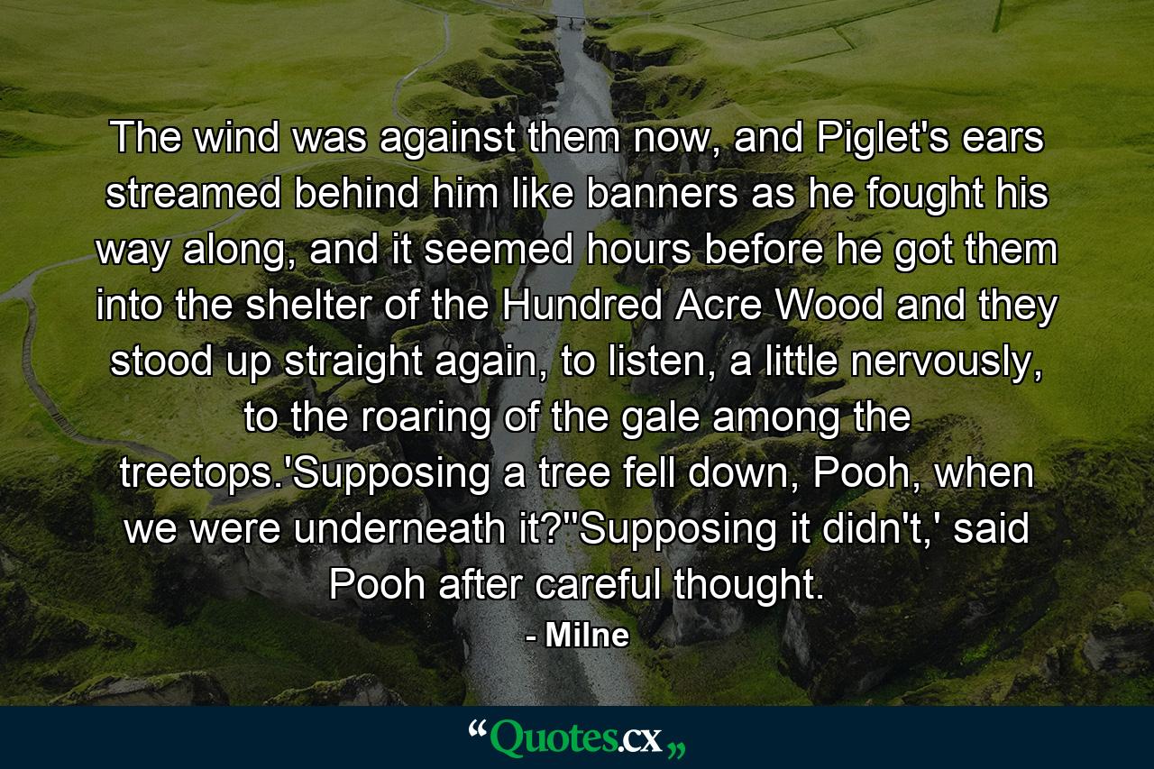 The wind was against them now, and Piglet's ears streamed behind him like banners as he fought his way along, and it seemed hours before he got them into the shelter of the Hundred Acre Wood and they stood up straight again, to listen, a little nervously, to the roaring of the gale among the treetops.'Supposing a tree fell down, Pooh, when we were underneath it?''Supposing it didn't,' said Pooh after careful thought. - Quote by Milne