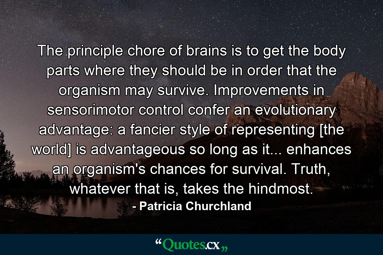 The principle chore of brains is to get the body parts where they should be in order that the organism may survive. Improvements in sensorimotor control confer an evolutionary advantage: a fancier style of representing [the world] is advantageous so long as it... enhances an organism's chances for survival. Truth, whatever that is, takes the hindmost. - Quote by Patricia Churchland