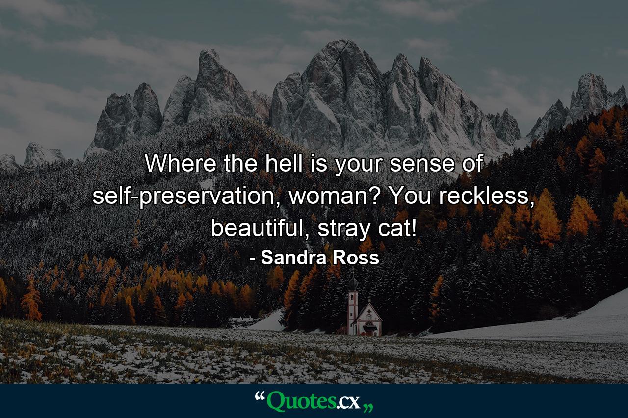 Where the hell is your sense of self-preservation, woman? You reckless, beautiful, stray cat! - Quote by Sandra Ross