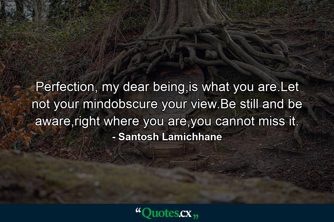 Perfection, my dear being,is what you are.Let not your mindobscure your view.Be still and be aware,right where you are,you cannot miss it. - Quote by Santosh Lamichhane