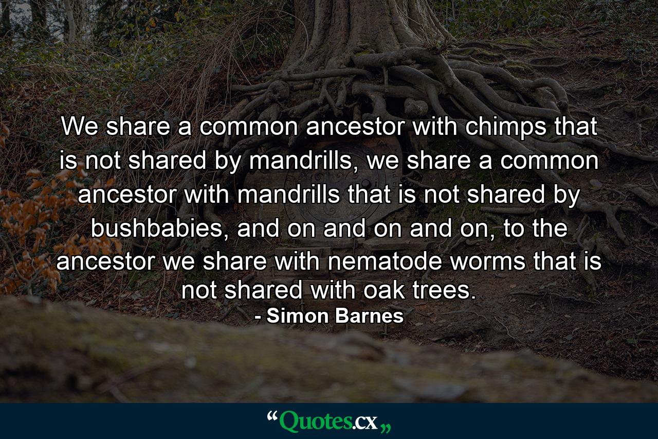 We share a common ancestor with chimps that is not shared by mandrills, we share a common ancestor with mandrills that is not shared by bushbabies, and on and on and on, to the ancestor we share with nematode worms that is not shared with oak trees. - Quote by Simon Barnes