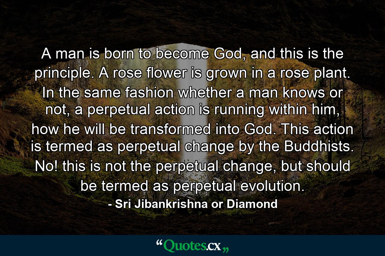 A man is born to become God, and this is the principle. A rose flower is grown in a rose plant. In the same fashion whether a man knows or not, a perpetual action is running within him, how he will be transformed into God. This action is termed as perpetual change by the Buddhists. No! this is not the perpetual change, but should be termed as perpetual evolution. - Quote by Sri Jibankrishna or Diamond