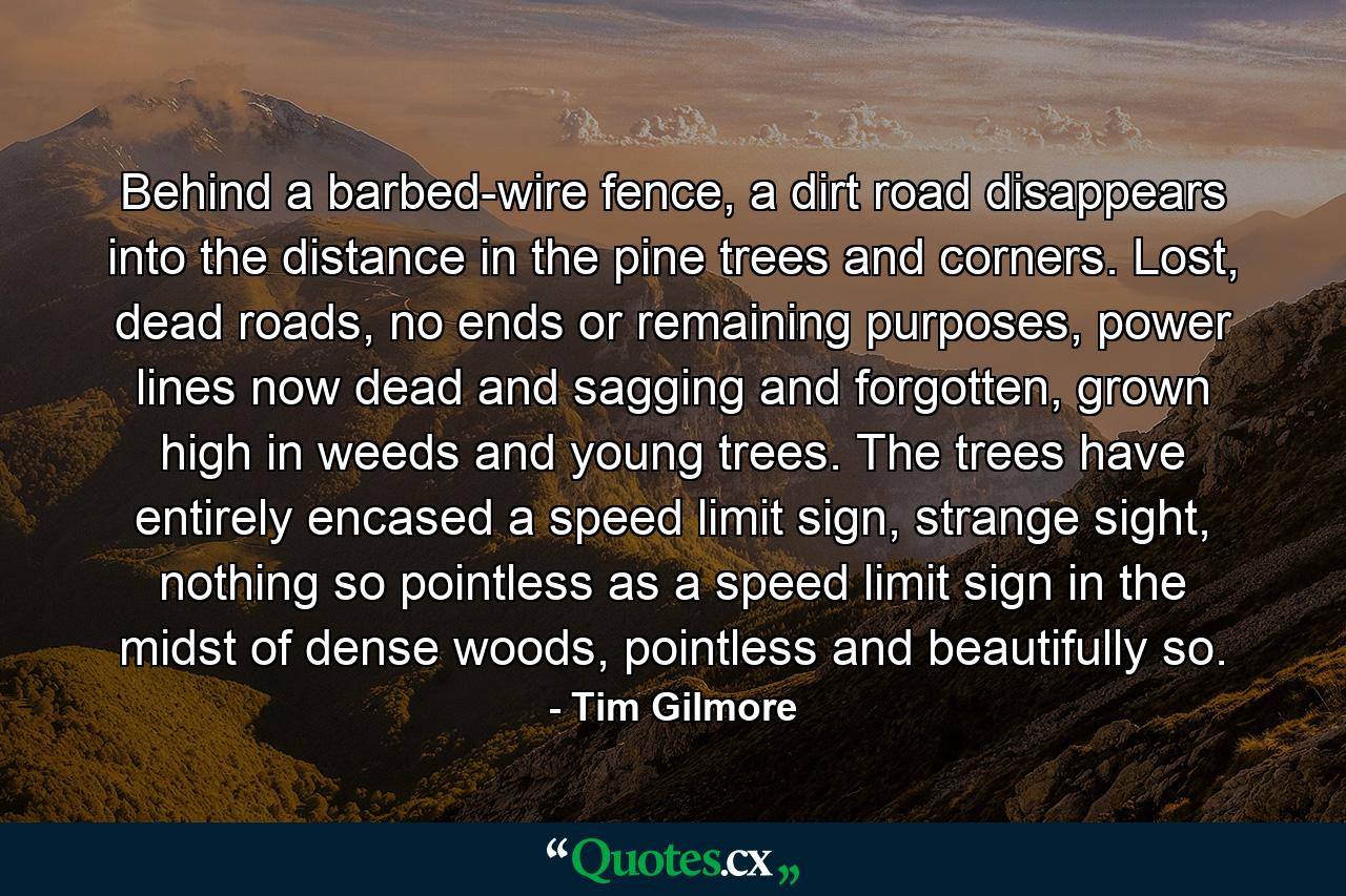 Behind a barbed-wire fence, a dirt road disappears into the distance in the pine trees and corners. Lost, dead roads, no ends or remaining purposes, power lines now dead and sagging and forgotten, grown high in weeds and young trees. The trees have entirely encased a speed limit sign, strange sight, nothing so pointless as a speed limit sign in the midst of dense woods, pointless and beautifully so. - Quote by Tim Gilmore