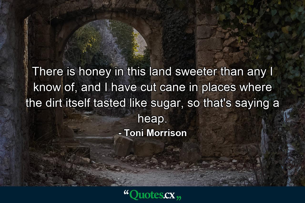 There is honey in this land sweeter than any I know of, and I have cut cane in places where the dirt itself tasted like sugar, so that's saying a heap. - Quote by Toni Morrison