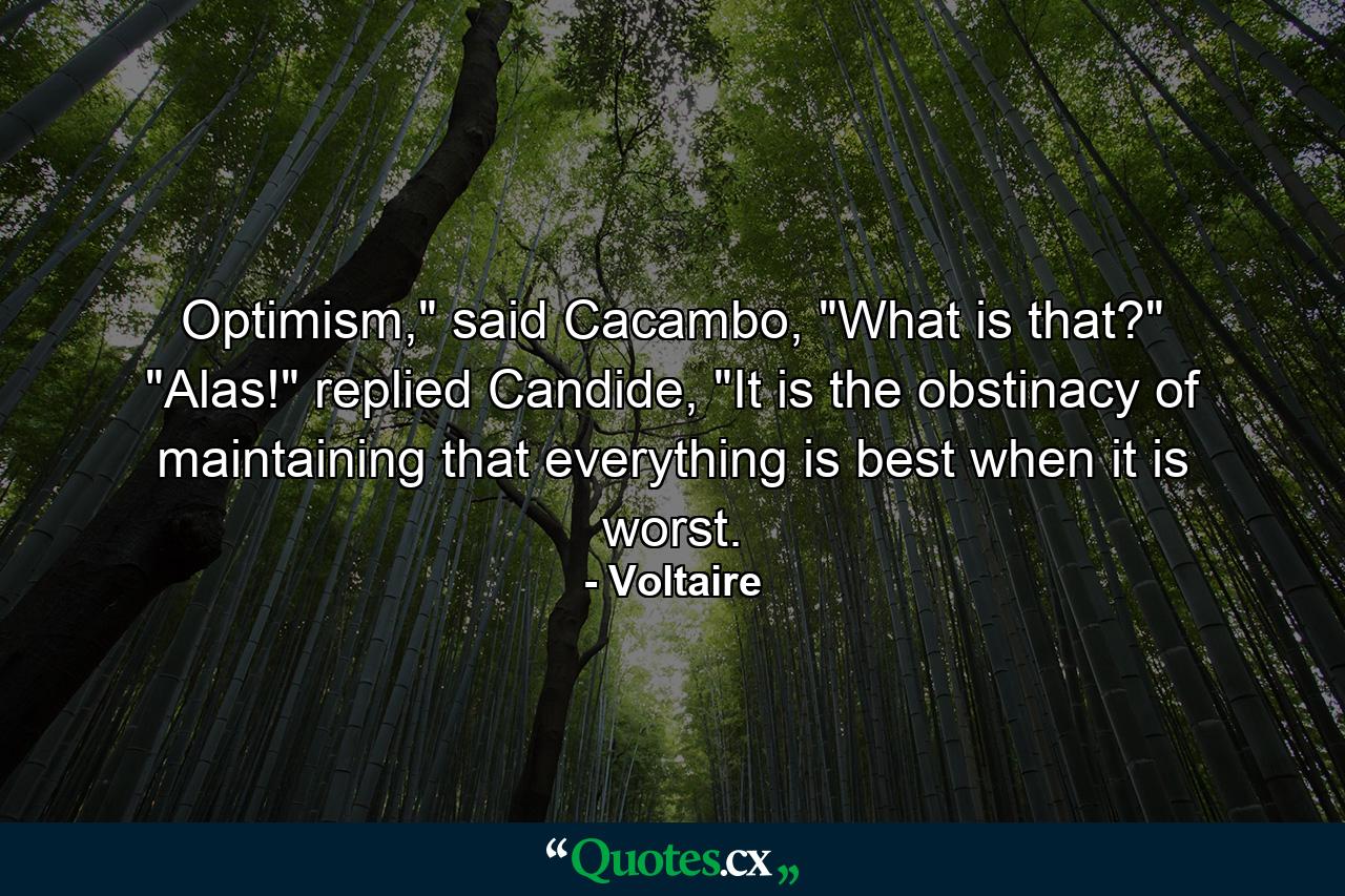 Optimism,